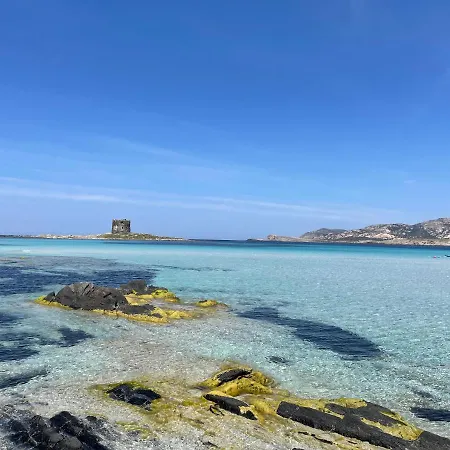 I Pescatori Di Stelle-o14 Hamal *