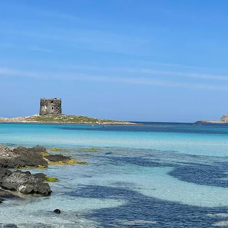I Pescatori Di Stelle-o14 Hamal Holiday home Stintino