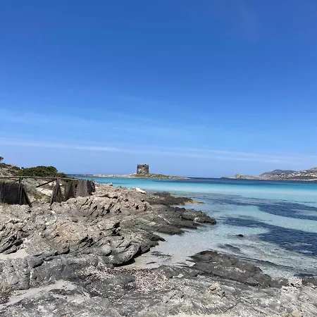 I Pescatori Di Stelle-o14 Hamal