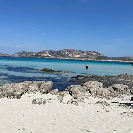 Holiday home I Pescatori Di Stelle-o14 Hamal Stintino